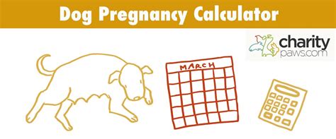 Dog Pregnancy Calculator 